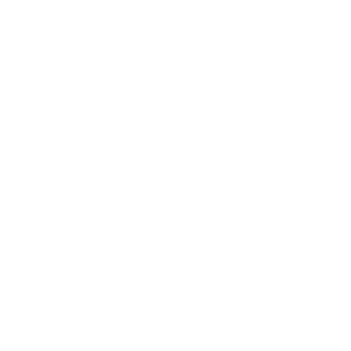 Empresa de escoltas en León con trayectoria real